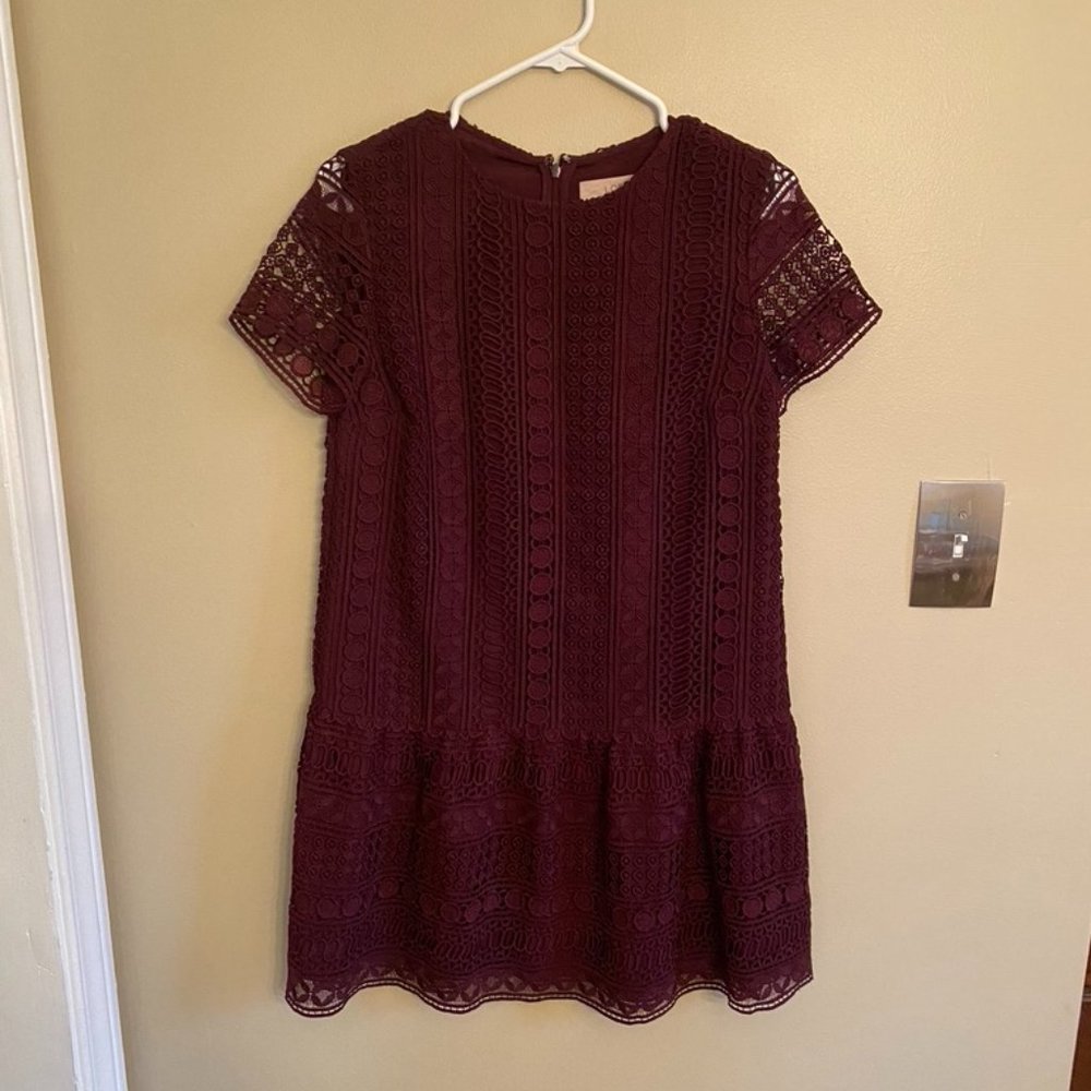 LOFT Short Sleeve Lace Dress (Size 2)
